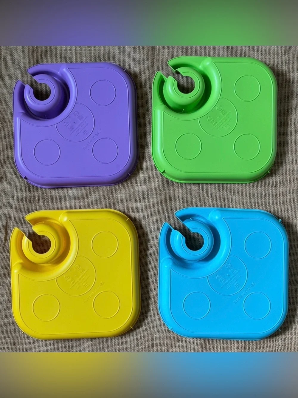 Great Plate Reusable Plastic Plates & Cups Set Sturdy Snack Trays USA Made